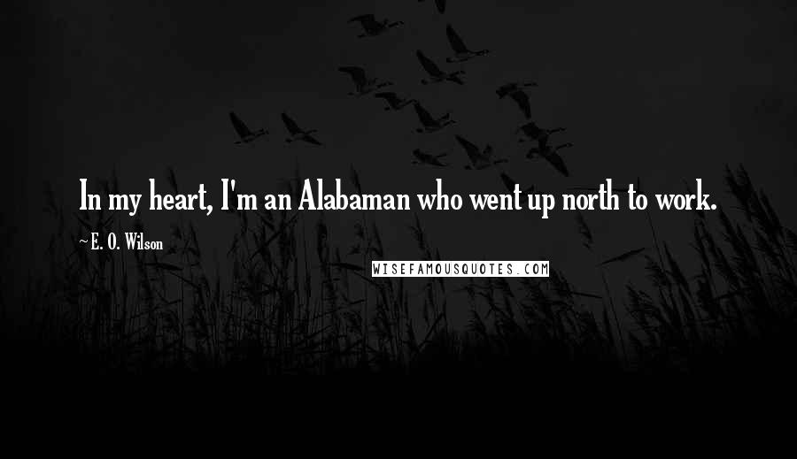 E. O. Wilson Quotes: In my heart, I'm an Alabaman who went up north to work.