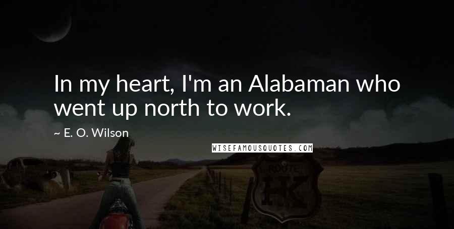 E. O. Wilson Quotes: In my heart, I'm an Alabaman who went up north to work.