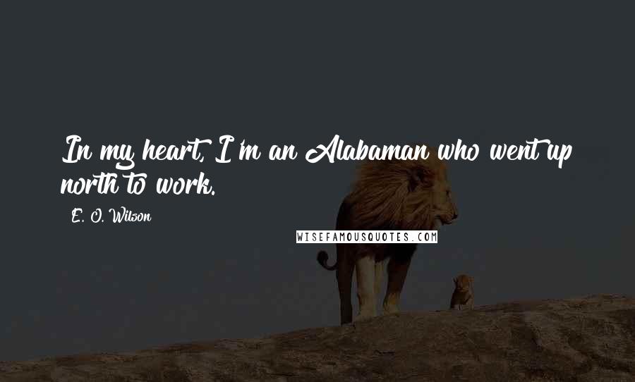 E. O. Wilson Quotes: In my heart, I'm an Alabaman who went up north to work.