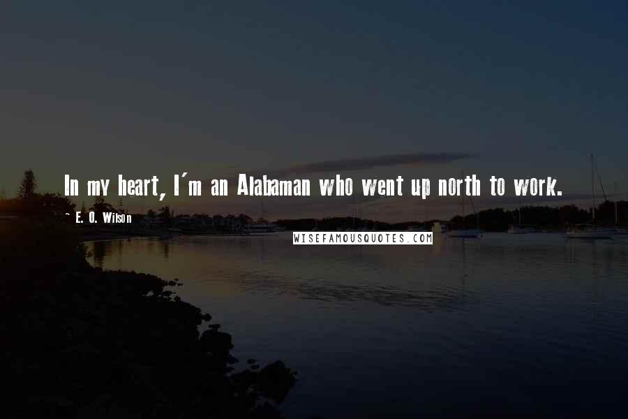 E. O. Wilson Quotes: In my heart, I'm an Alabaman who went up north to work.