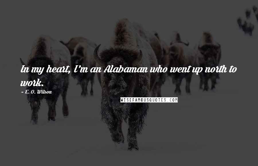 E. O. Wilson Quotes: In my heart, I'm an Alabaman who went up north to work.