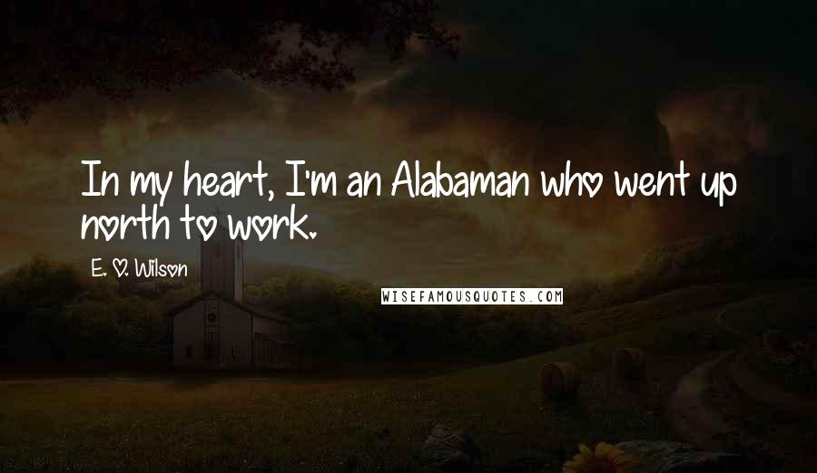 E. O. Wilson Quotes: In my heart, I'm an Alabaman who went up north to work.