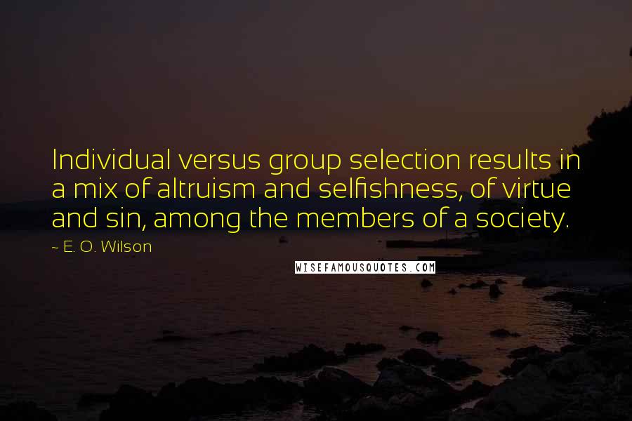 E. O. Wilson Quotes: Individual versus group selection results in a mix of altruism and selfishness, of virtue and sin, among the members of a society.