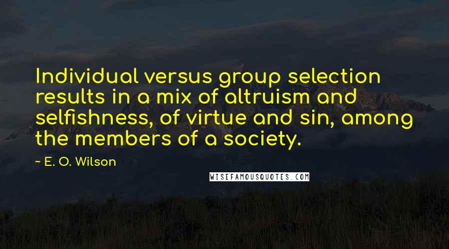 E. O. Wilson Quotes: Individual versus group selection results in a mix of altruism and selfishness, of virtue and sin, among the members of a society.