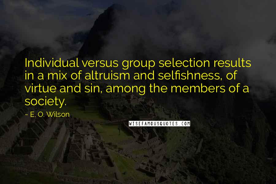 E. O. Wilson Quotes: Individual versus group selection results in a mix of altruism and selfishness, of virtue and sin, among the members of a society.