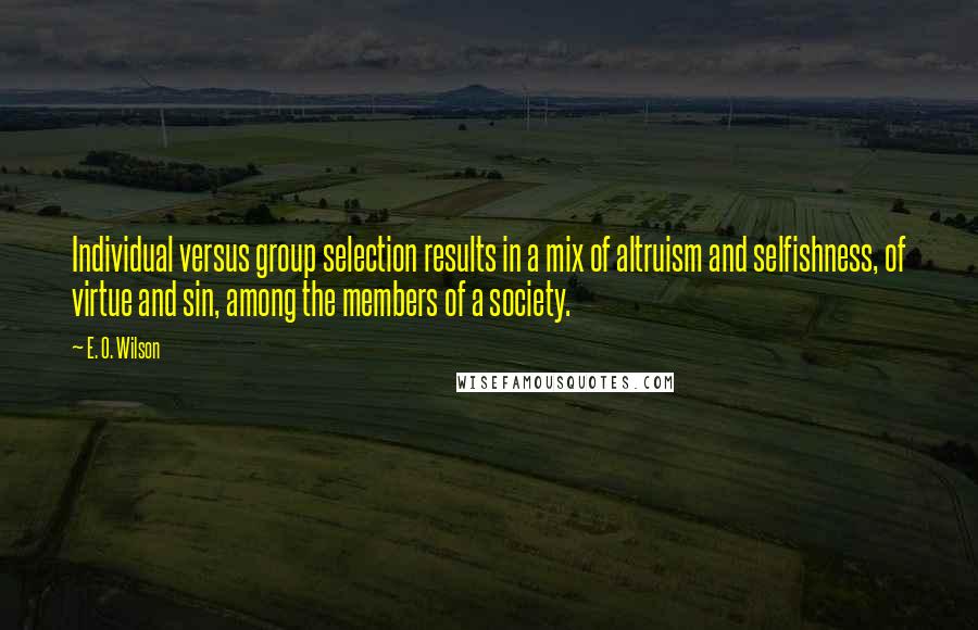 E. O. Wilson Quotes: Individual versus group selection results in a mix of altruism and selfishness, of virtue and sin, among the members of a society.