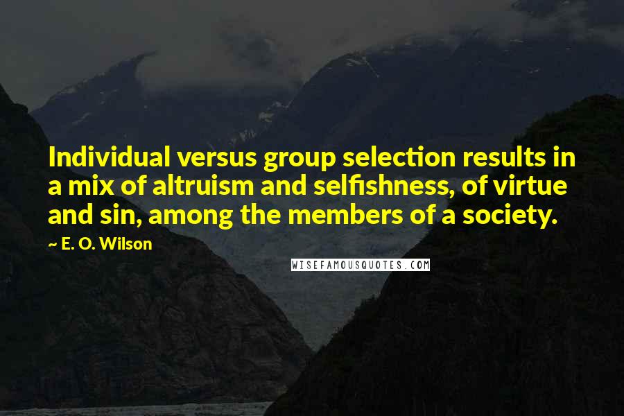 E. O. Wilson Quotes: Individual versus group selection results in a mix of altruism and selfishness, of virtue and sin, among the members of a society.