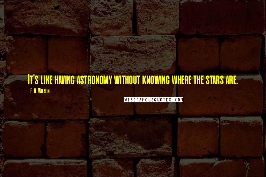 E. O. Wilson Quotes: It's like having astronomy without knowing where the stars are.