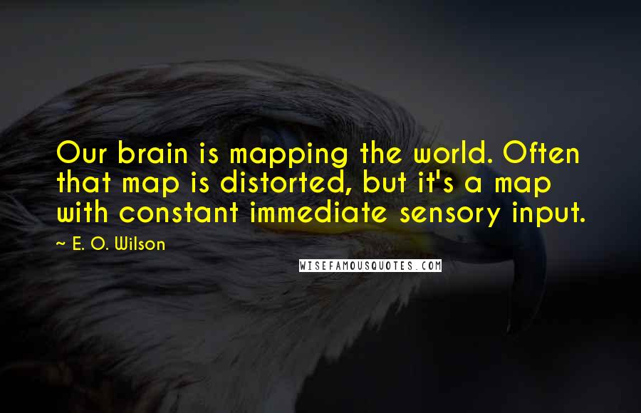 E. O. Wilson Quotes: Our brain is mapping the world. Often that map is distorted, but it's a map with constant immediate sensory input.