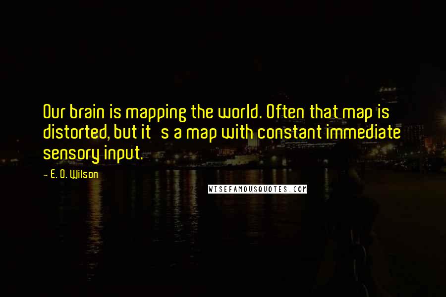 E. O. Wilson Quotes: Our brain is mapping the world. Often that map is distorted, but it's a map with constant immediate sensory input.