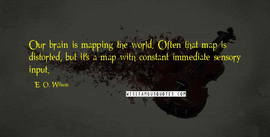 E. O. Wilson Quotes: Our brain is mapping the world. Often that map is distorted, but it's a map with constant immediate sensory input.