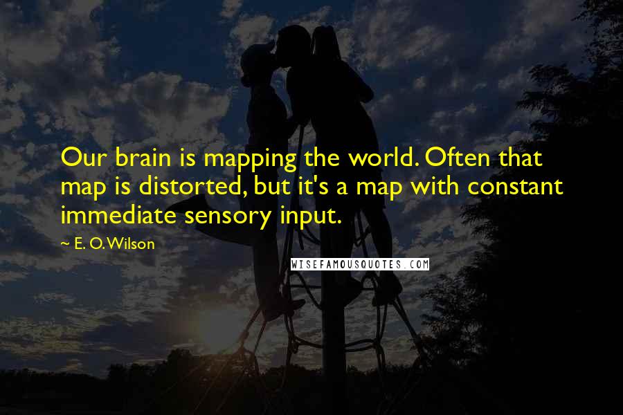 E. O. Wilson Quotes: Our brain is mapping the world. Often that map is distorted, but it's a map with constant immediate sensory input.