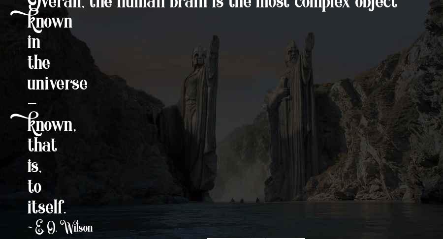 E. O. Wilson Quotes: Overall, the human brain is the most complex object known in the universe - known, that is, to itself.