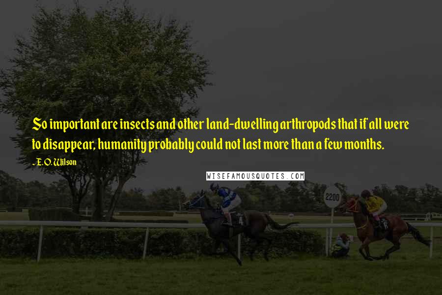 E. O. Wilson Quotes: So important are insects and other land-dwelling arthropods that if all were to disappear, humanity probably could not last more than a few months.