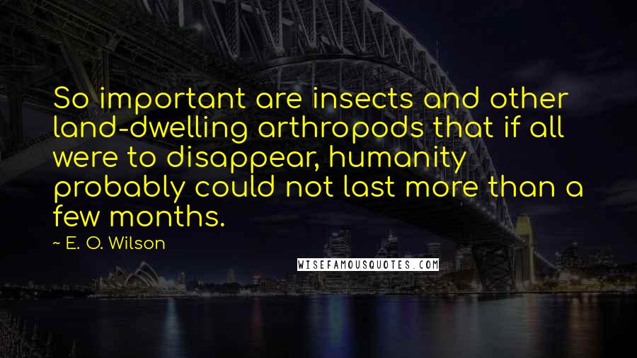 E. O. Wilson Quotes: So important are insects and other land-dwelling arthropods that if all were to disappear, humanity probably could not last more than a few months.