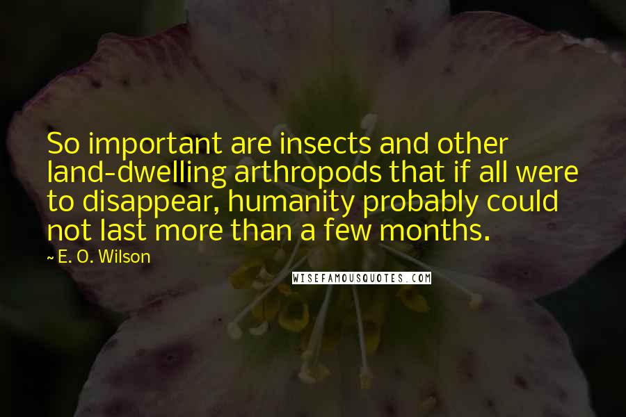 E. O. Wilson Quotes: So important are insects and other land-dwelling arthropods that if all were to disappear, humanity probably could not last more than a few months.