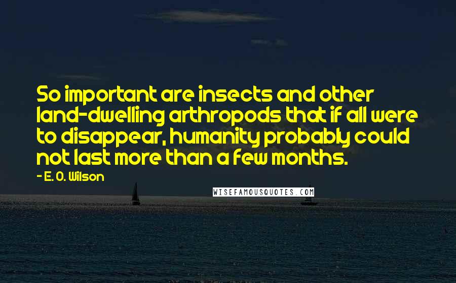 E. O. Wilson Quotes: So important are insects and other land-dwelling arthropods that if all were to disappear, humanity probably could not last more than a few months.