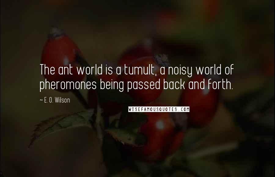 E. O. Wilson Quotes: The ant world is a tumult, a noisy world of pheromones being passed back and forth.