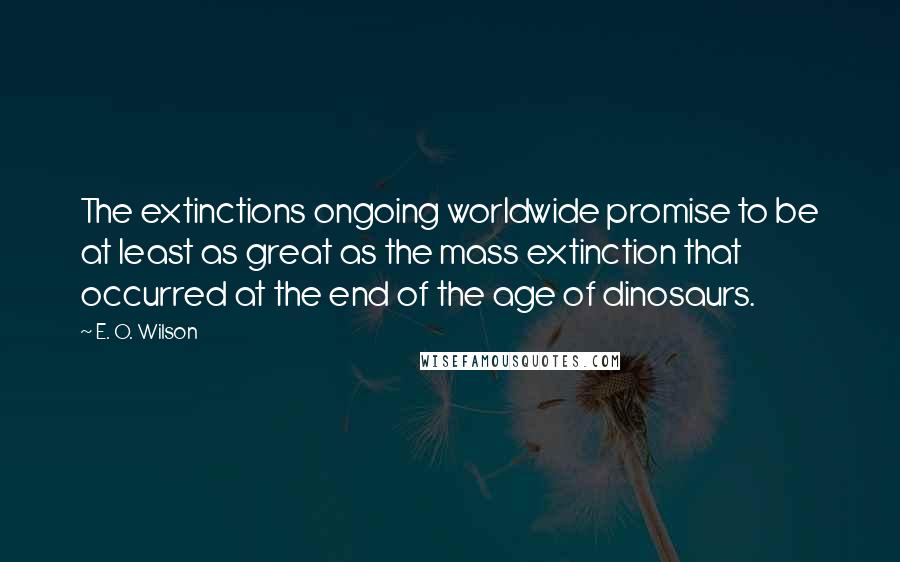 E. O. Wilson Quotes: The extinctions ongoing worldwide promise to be at least as great as the mass extinction that occurred at the end of the age of dinosaurs.