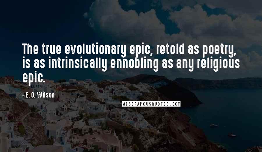 E. O. Wilson Quotes: The true evolutionary epic, retold as poetry, is as intrinsically ennobling as any religious epic.