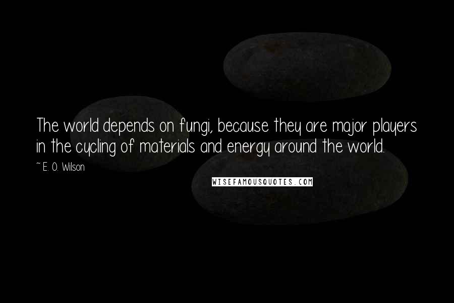 E. O. Wilson Quotes: The world depends on fungi, because they are major players in the cycling of materials and energy around the world.