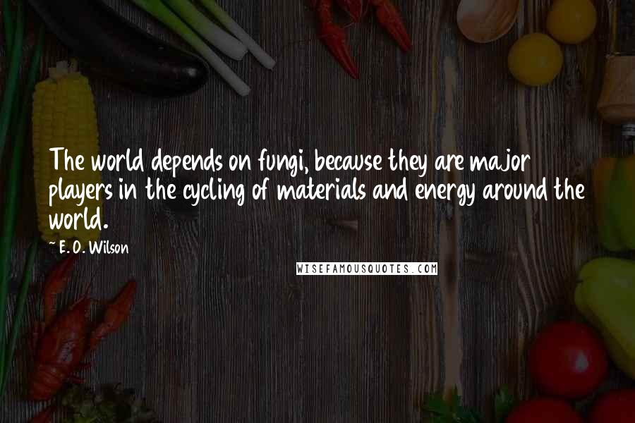 E. O. Wilson Quotes: The world depends on fungi, because they are major players in the cycling of materials and energy around the world.