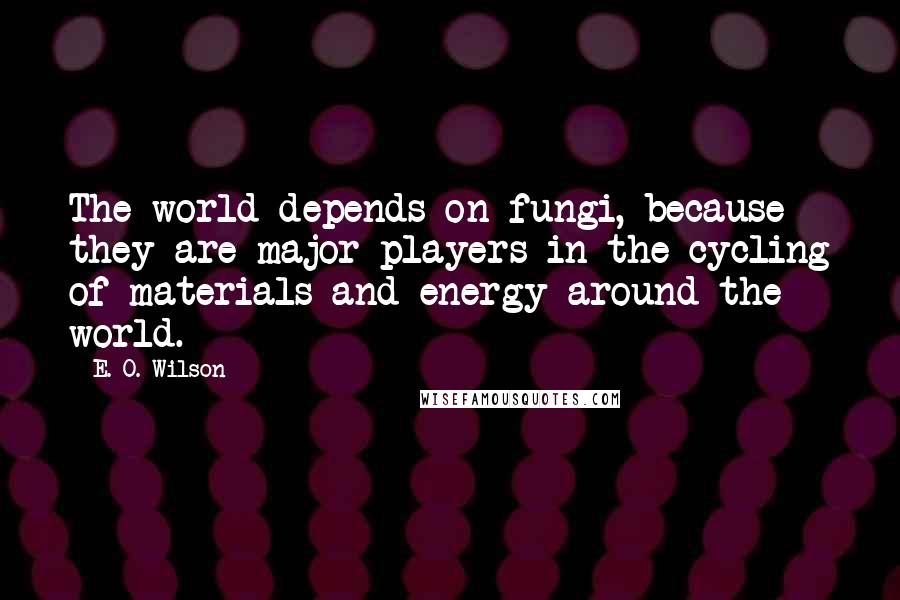 E. O. Wilson Quotes: The world depends on fungi, because they are major players in the cycling of materials and energy around the world.