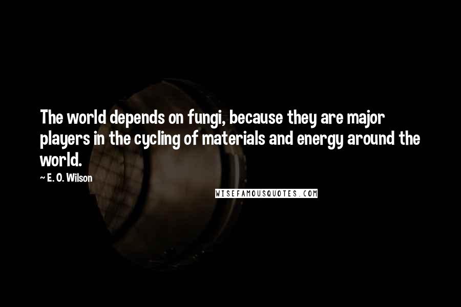 E. O. Wilson Quotes: The world depends on fungi, because they are major players in the cycling of materials and energy around the world.