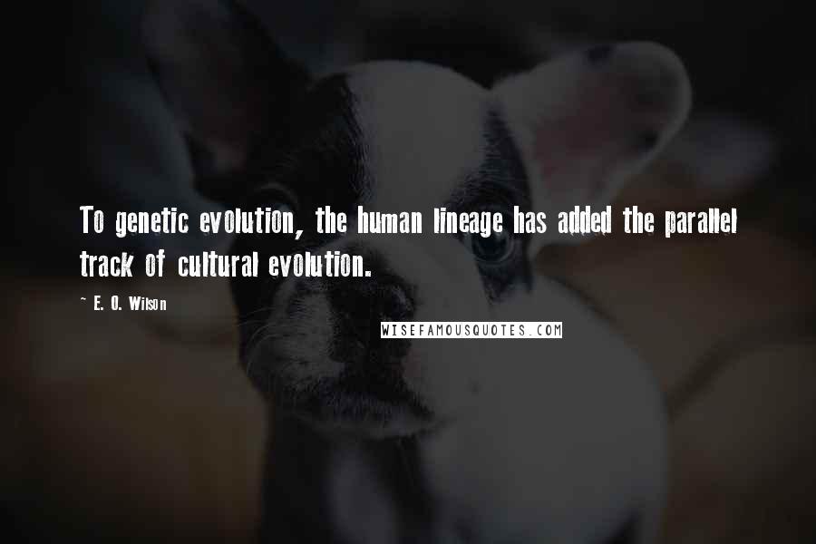 E. O. Wilson Quotes: To genetic evolution, the human lineage has added the parallel track of cultural evolution.