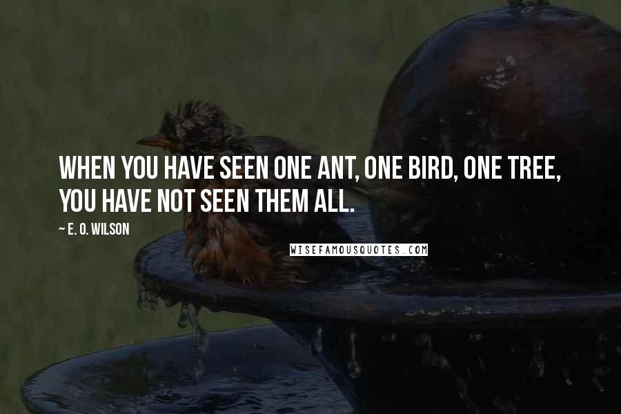 E. O. Wilson Quotes: When you have seen one ant, one bird, one tree, you have not seen them all.