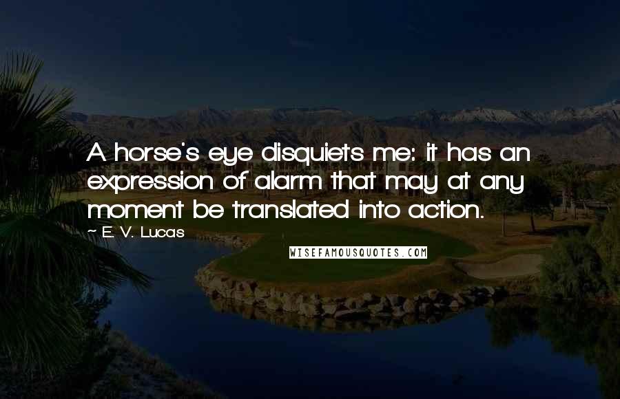 E. V. Lucas Quotes: A horse's eye disquiets me: it has an expression of alarm that may at any moment be translated into action.
