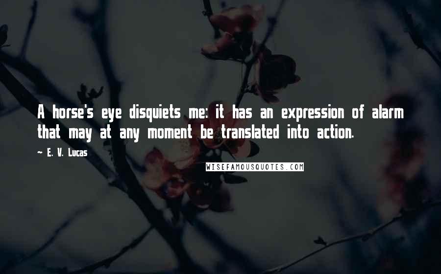 E. V. Lucas Quotes: A horse's eye disquiets me: it has an expression of alarm that may at any moment be translated into action.