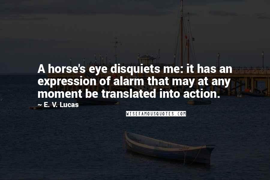 E. V. Lucas Quotes: A horse's eye disquiets me: it has an expression of alarm that may at any moment be translated into action.