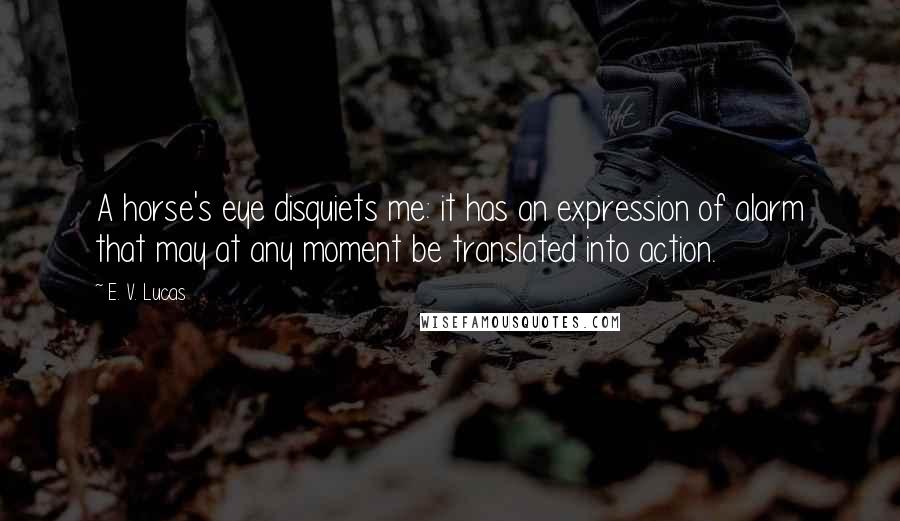 E. V. Lucas Quotes: A horse's eye disquiets me: it has an expression of alarm that may at any moment be translated into action.