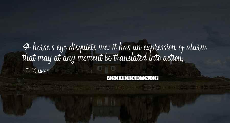 E. V. Lucas Quotes: A horse's eye disquiets me: it has an expression of alarm that may at any moment be translated into action.