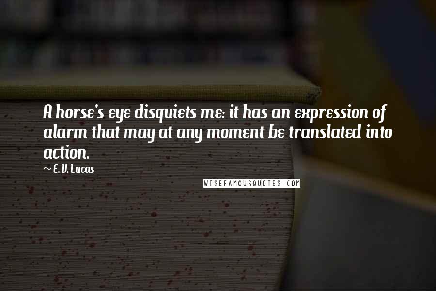 E. V. Lucas Quotes: A horse's eye disquiets me: it has an expression of alarm that may at any moment be translated into action.