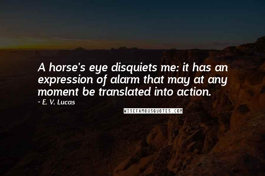 E. V. Lucas Quotes: A horse's eye disquiets me: it has an expression of alarm that may at any moment be translated into action.
