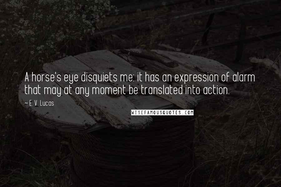 E. V. Lucas Quotes: A horse's eye disquiets me: it has an expression of alarm that may at any moment be translated into action.
