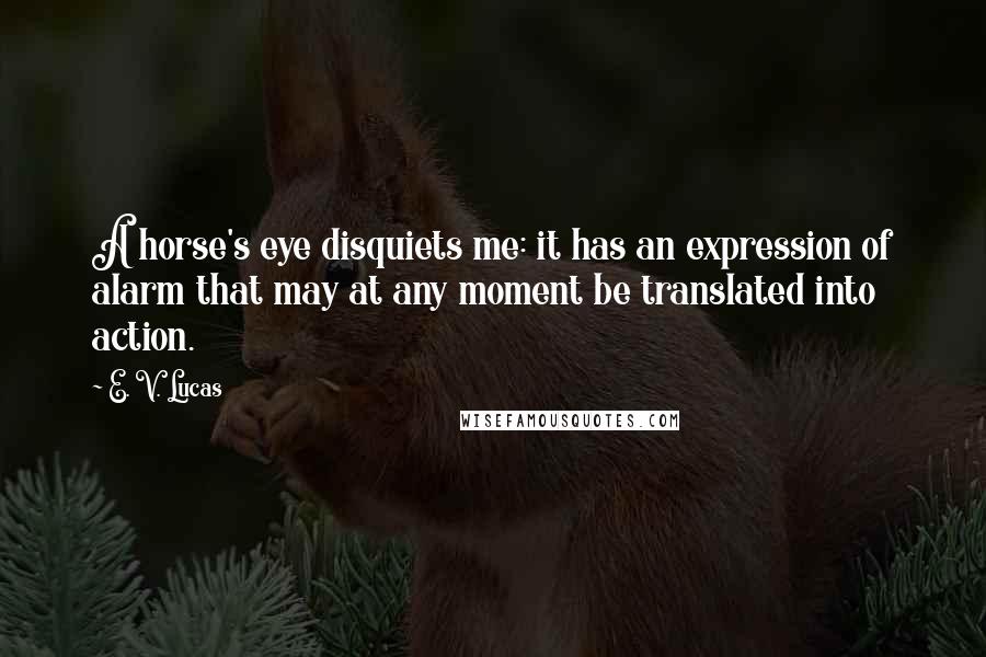 E. V. Lucas Quotes: A horse's eye disquiets me: it has an expression of alarm that may at any moment be translated into action.
