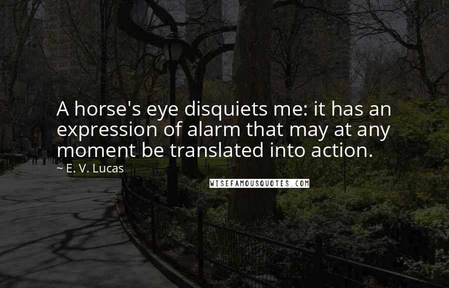 E. V. Lucas Quotes: A horse's eye disquiets me: it has an expression of alarm that may at any moment be translated into action.