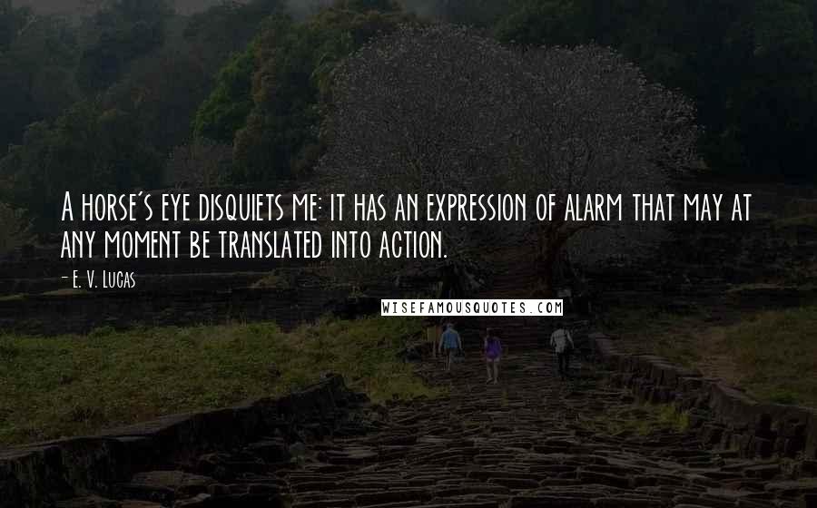 E. V. Lucas Quotes: A horse's eye disquiets me: it has an expression of alarm that may at any moment be translated into action.