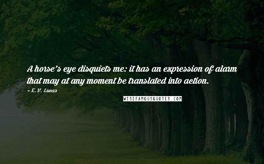 E. V. Lucas Quotes: A horse's eye disquiets me: it has an expression of alarm that may at any moment be translated into action.