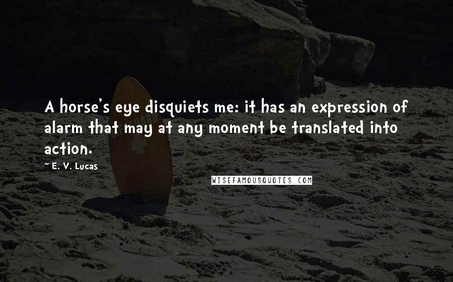 E. V. Lucas Quotes: A horse's eye disquiets me: it has an expression of alarm that may at any moment be translated into action.