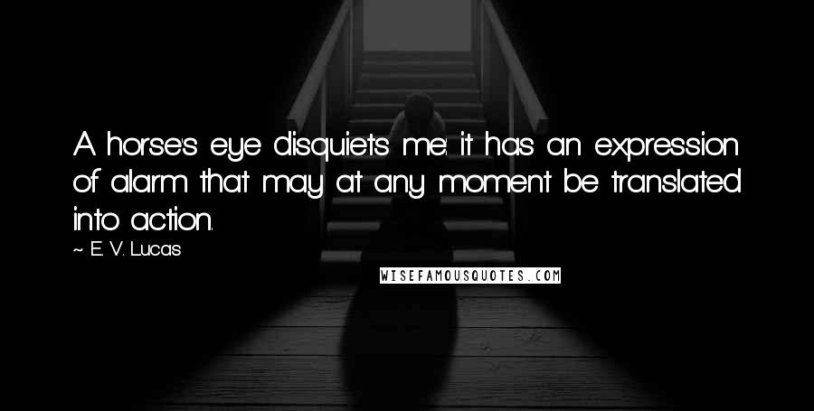 E. V. Lucas Quotes: A horse's eye disquiets me: it has an expression of alarm that may at any moment be translated into action.