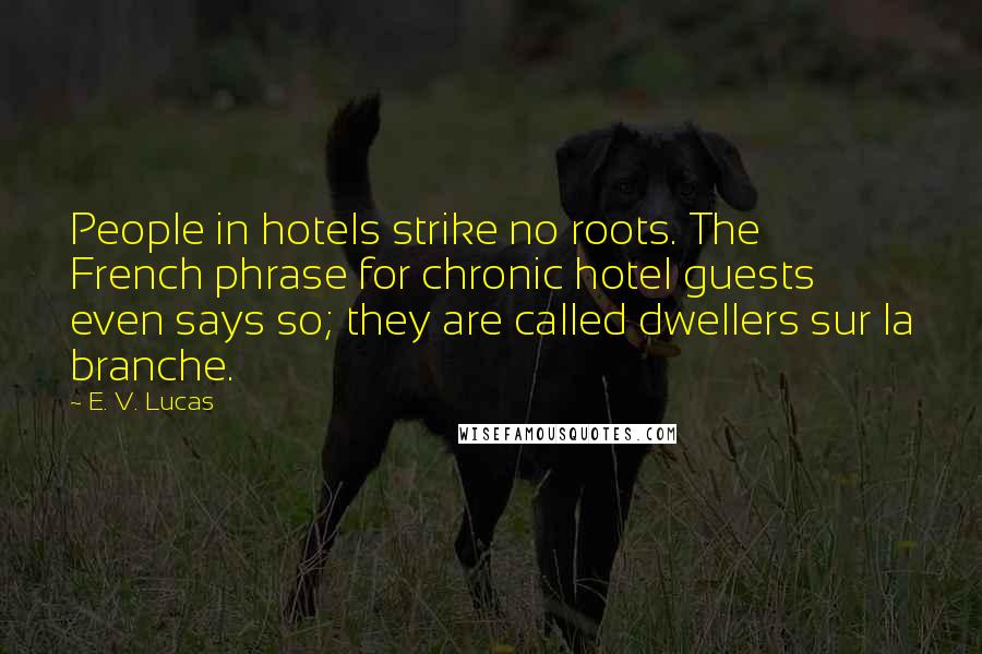 E. V. Lucas Quotes: People in hotels strike no roots. The French phrase for chronic hotel guests even says so; they are called dwellers sur la branche.