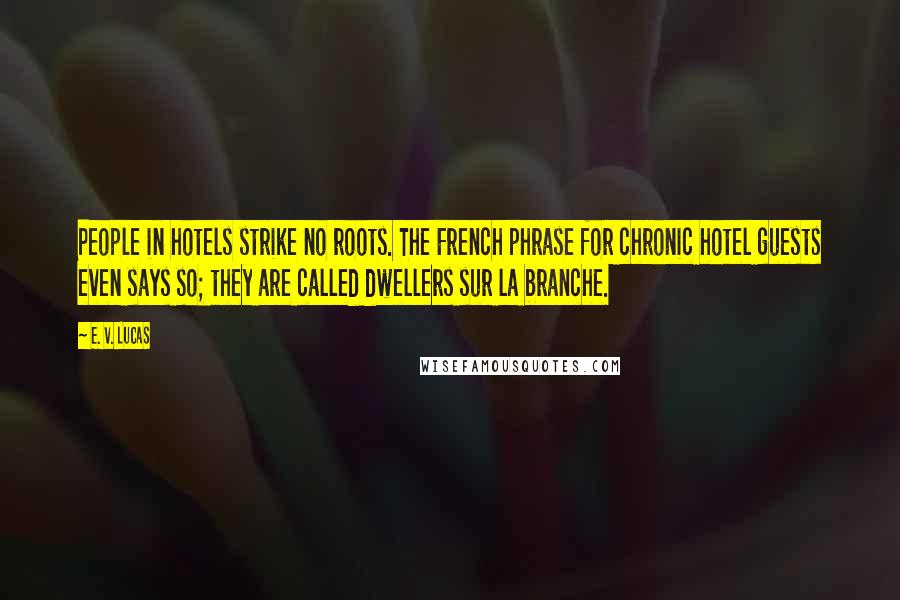 E. V. Lucas Quotes: People in hotels strike no roots. The French phrase for chronic hotel guests even says so; they are called dwellers sur la branche.