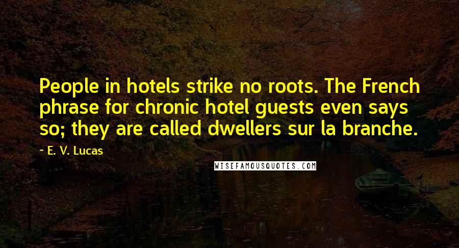 E. V. Lucas Quotes: People in hotels strike no roots. The French phrase for chronic hotel guests even says so; they are called dwellers sur la branche.