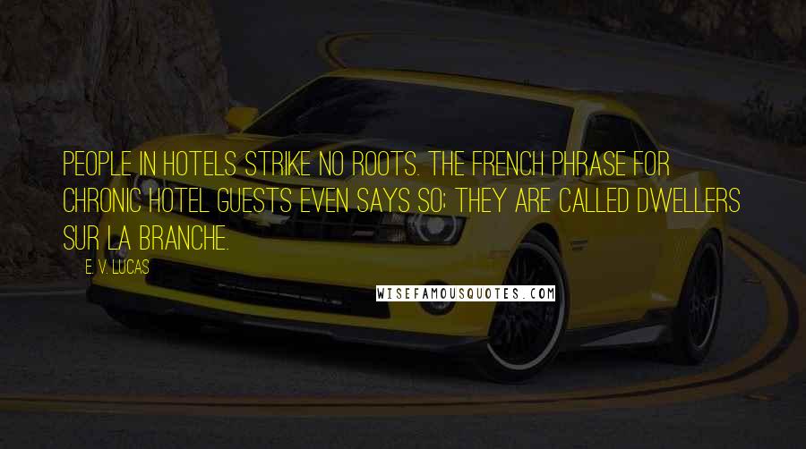 E. V. Lucas Quotes: People in hotels strike no roots. The French phrase for chronic hotel guests even says so; they are called dwellers sur la branche.