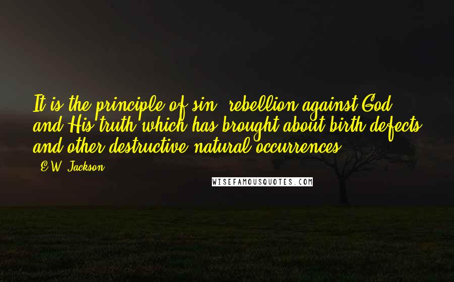 E.W. Jackson Quotes: It is the principle of sin, rebellion against God and His truth which has brought about birth defects and other destructive natural occurrences.