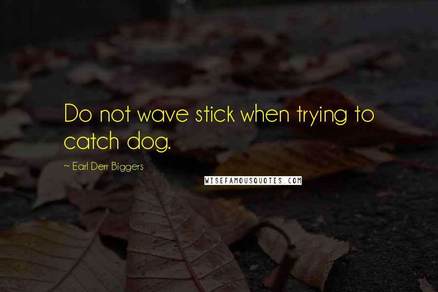 Earl Derr Biggers Quotes: Do not wave stick when trying to catch dog.